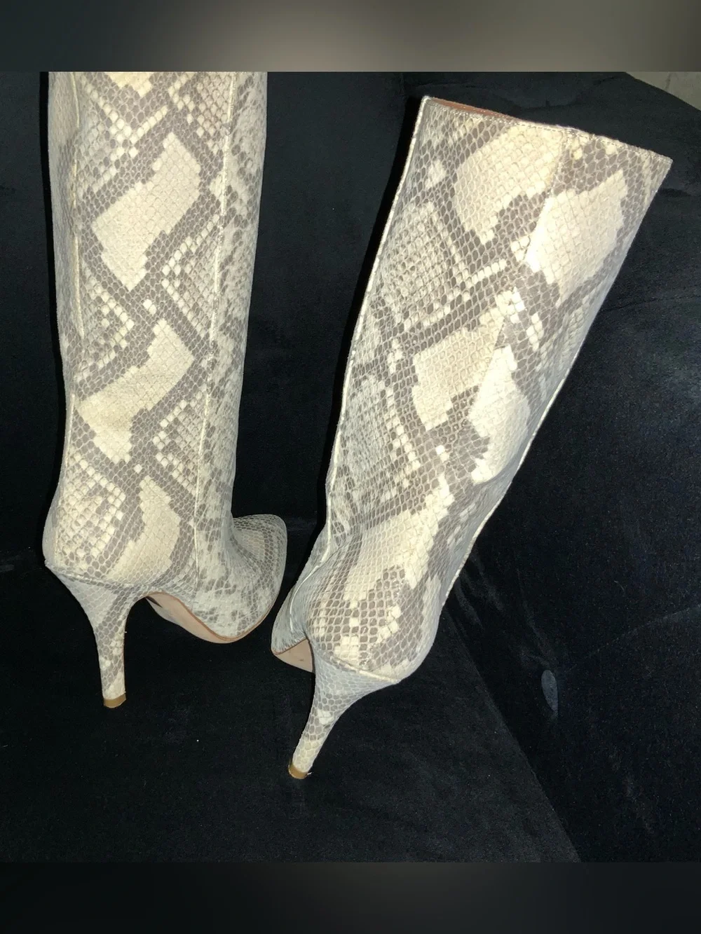 Paris Texas Snake Half Boots Sz 8